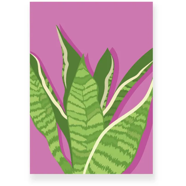 Yisual Poster 30x40 cm - Sansevieria - Planten - Groen - Roze - Botanisch - Minimalistisch - Muurdecoratie - Wanddecoratie