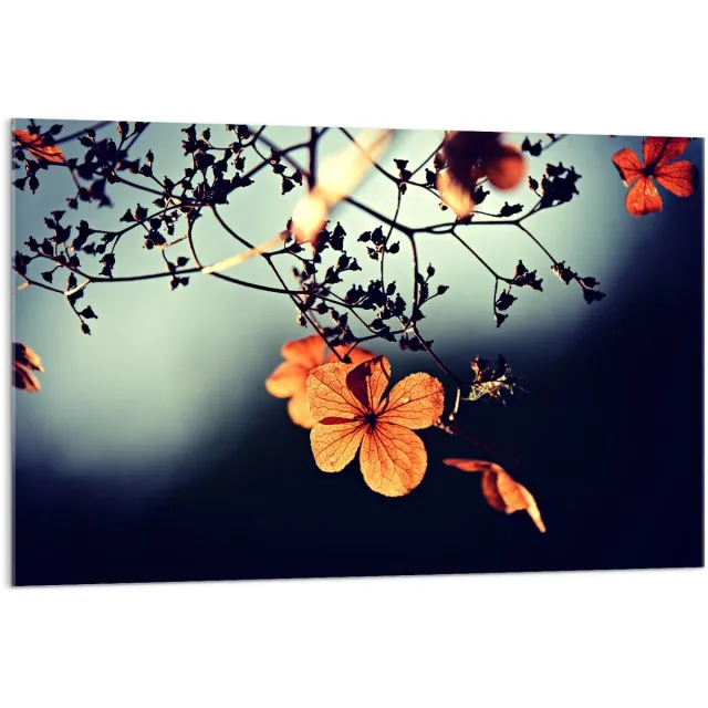 KuijsFotoprint Acrylglas - Oranje Bloem in een Boom - 120x80cm Foto op Acrylglas (Met Ophangsysteem) Zwart
