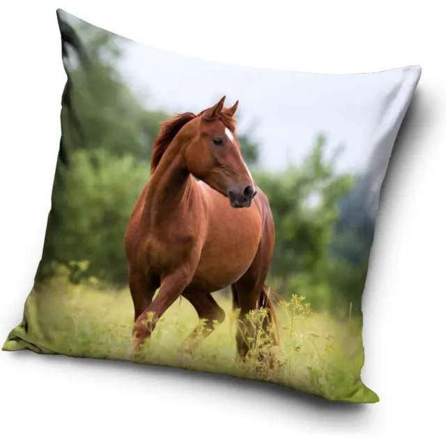 Carbotex Paarden - Sierkussen Kussen 40 x 40 cm inclusief vulling Multi