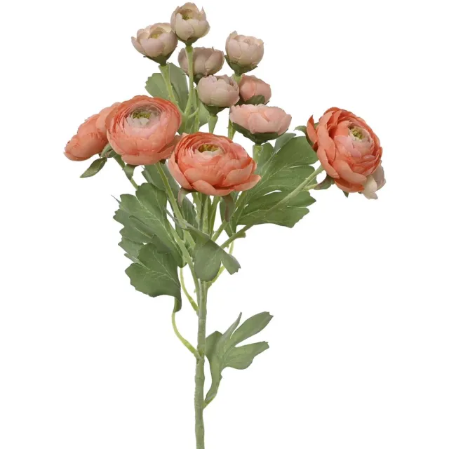 Kaemingk Everlands Ranonkel Perzikkleurig 6 Bloemen & 6 Knoppen 55 cm