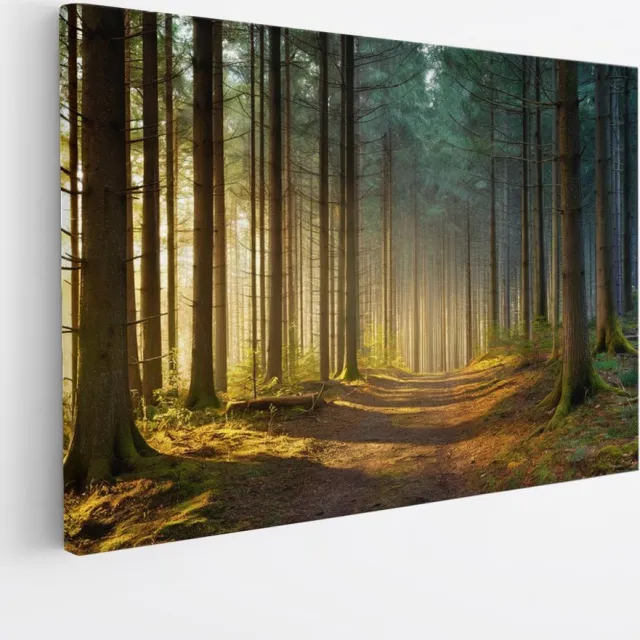 Saammp Canvas Schilderij - Bospad tussen de bomen - Landschap - Natuur - 50x40 - Foto op canvas - Wanddecoratie - Muurdecoratie Woonkamer - Slaapkamer decoratie - Canvas Print Multicolor