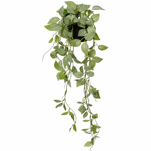 HEM Kunst Hangplant Fittonia Groen 70 cm – Onderhoudsvrije Kunstplant – Hangplant Binnen – Realistische Kamerplant in Pot