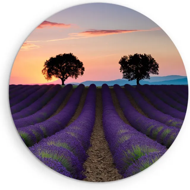 Saammp Forex Muurcirkel - Kleurrijk Lavendelveld met bomen - Natuur - Landschap - Ø 40 - Wandcirkel - Wanddecoratie Cirkel - Muurdecoratie Woonkamer - Slaapkamer decoratie - Rond Schilderij