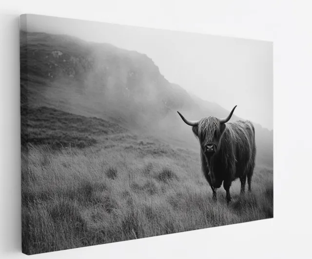 Saammp Canvas Schilderij - Schotse Hooglander Koe in het hoge gras - Landschap - Dieren - Natuur - 50x40 - Foto op canvas - Wanddecoratie - muurdecoratie Woonkamer - Slaapkamer decoratie - Canvas Print Multicolor