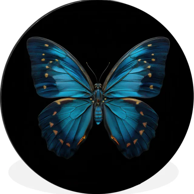 WallCircle Wandcirkel - Muurcirkel - Vlinder - Blauw - Contrast - Aluminium - Dibond - 60x60 cm - Binnen en Buiten