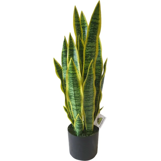 Kunstpalm Kunst Sanseveria | 68cm - Namaak sanseveria - Kunstplanten voor binnen - Kunstplant sanseveria Donkergroen