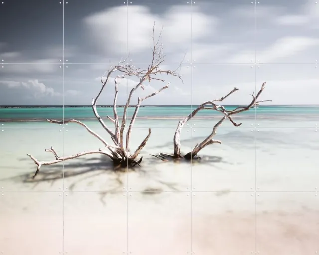 IXXI Tropical Silence The Hatstand, Claire Droppert - 100 x 80 cm - Grote wanddecoratie en posters - Realisme, Fotografie, Naturalisme, Minimalisme Wit / Grijs / Beige