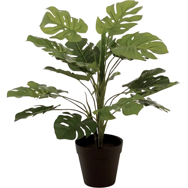 Dulaire Kunst Philodendron In Pot 52 cm groen