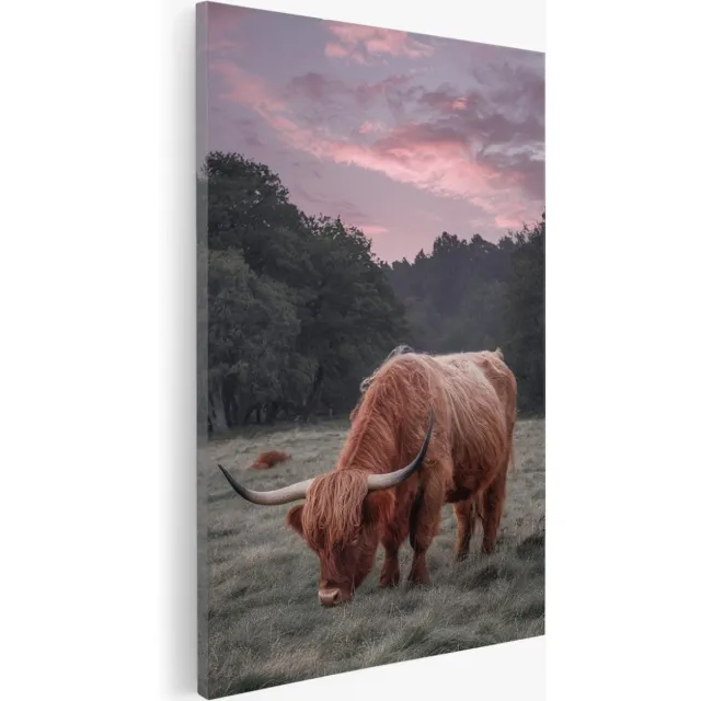 Saammp Canvas Schilderij - Schotse Hooglander Koe in de wei - Schotland - Dieren - 75x100 - Foto op canvas - Wanddecoratie - Muurdecoratie Woonkamer - Slaapkamer decoratie - Canvas Print Multicolor