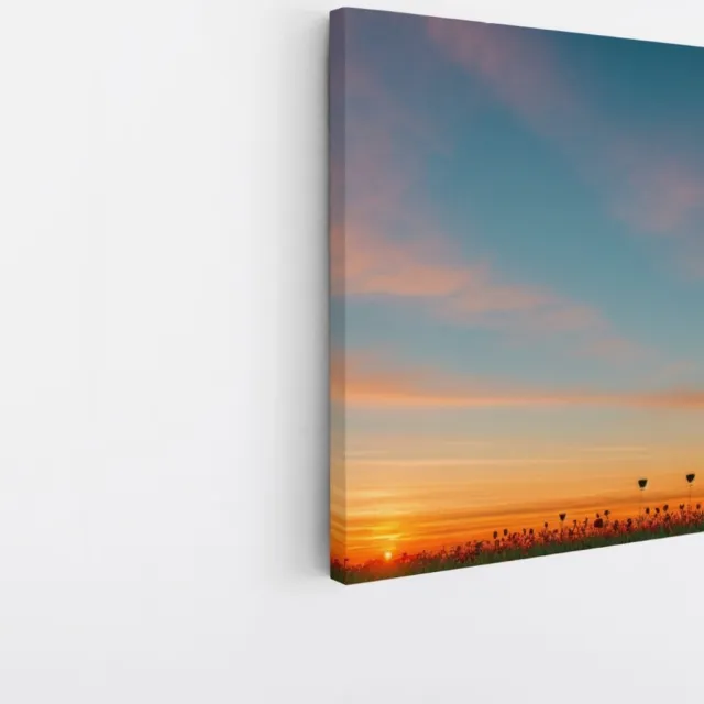 Saammp Canvas Schilderij - Landschap - Bloemenveld - Natuur - 30x30 - Foto op canvas - Wanddecoratie - Muurdecoratie Woonkamer - Slaapkamer decoratie - Canvas Print Multicolor