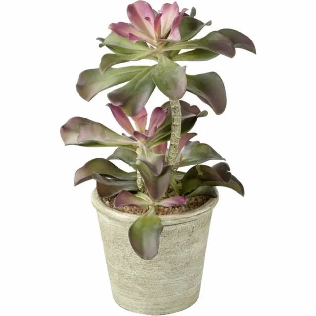 parlane Kunst Echeveria in polyresinen sierpot - 15 x 15 x 43 cm Groen