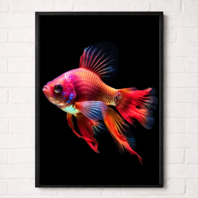 Kleurmedia Betta Vis Poster - Onderwaterwereld Collectie - Dieren Posters - A2+ 43,2 x 61 cm Roze