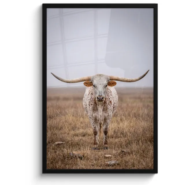 FrameYourWall Poster in lijst - Fotolijst 60x90 cm - Posters - Longhorn - Grasveld - Dier - Posterlijst zwart - Decoratie - Wanddecoratie woonkamer - Muurdecoratie slaapkamer