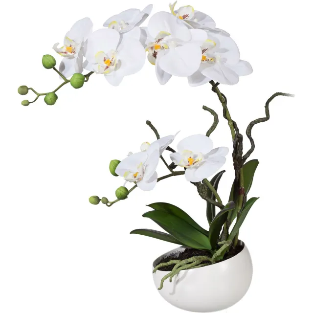 Gasper Kunst-Vlinderorchidee Wit in witte schaal 48 cm