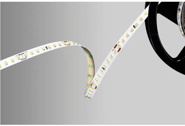 Barthelme 51542234 LED-strip 24 V 5000 mm Koudwit 5 m Kleurloos