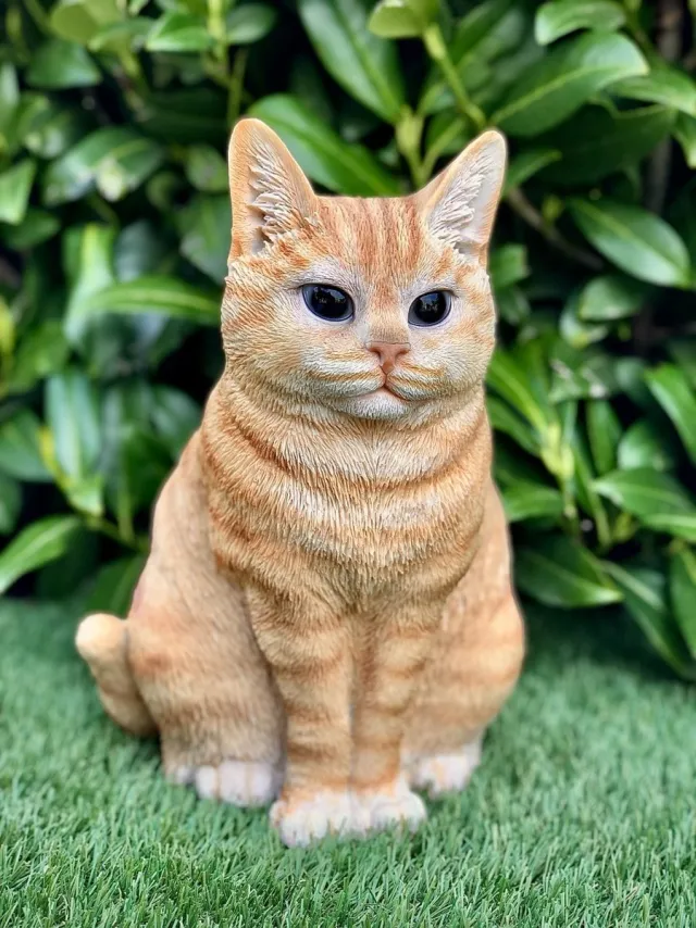 H&H Collections B.V. Kat/poes zittend groot | Britse korthaar rood/British shorthair ginger | 20x25x29cm
