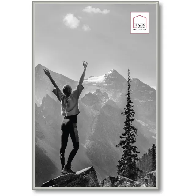 HAES deco Kunststof fotolijst 40x60 zilver Easy Frame - EF9S Zilverkleurig
