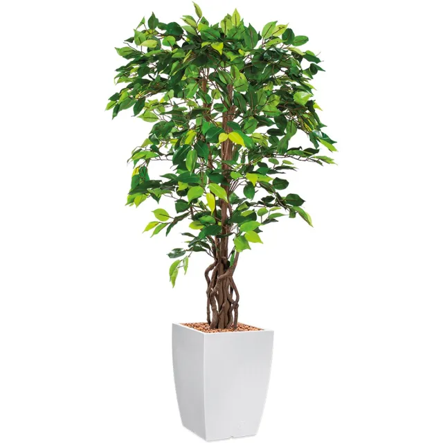 HTT Decorations HTT - Kunstplant Ficus in Genesis vierkant wit H155 cm