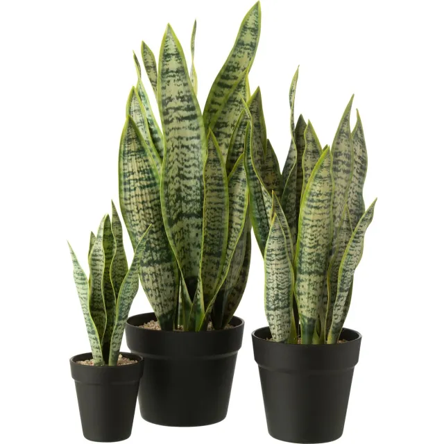 J-Line plant Dracaena Trifasciata in pot - kunststof - groen - large