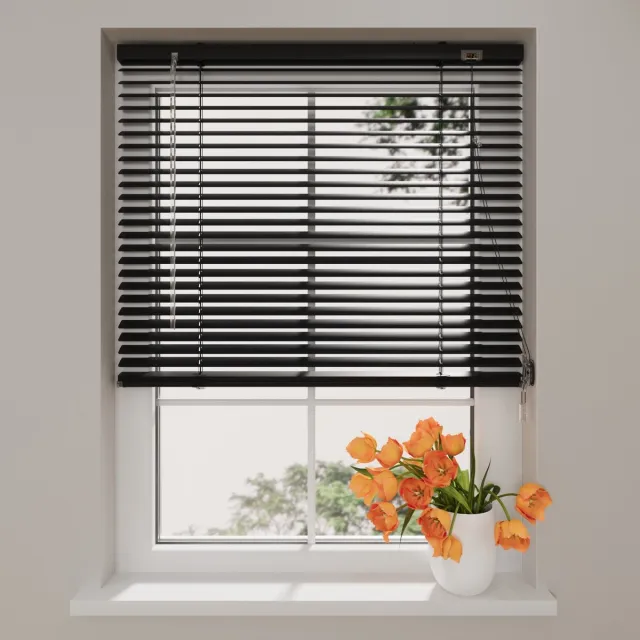 DTCH Aluminium Jaloezie Easy - 25 mm - Black - 90 x 175 cm Zwart