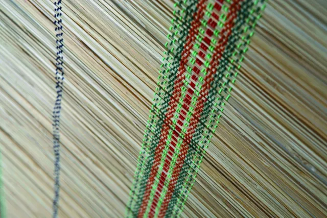 Intergard Rolgordijn Fantasia 100x200cm (wonen) Groen