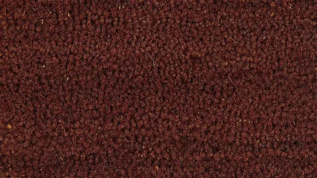 Home Design Shops Kokosmat Bordeaux Deurmat - 60 x 80 cm - Antislip rug - Slijtvast