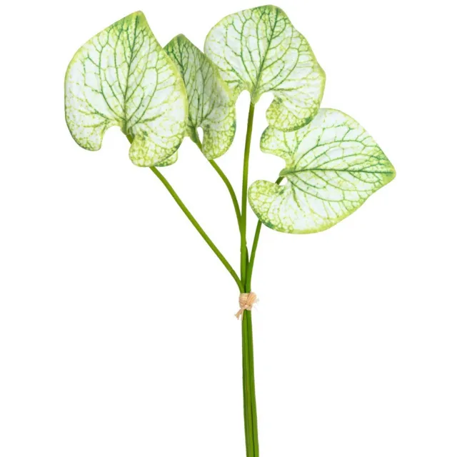 Louis Maes Caladium bundel h40 cm groen/wit kunstbloemen Louis Maes