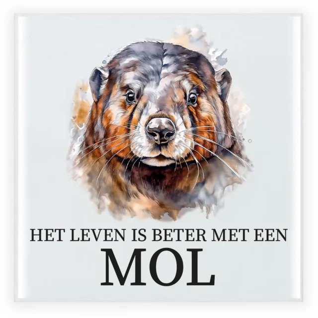 Bellatio Decorations Cadeau tegel voor de familie Mol - het leven is beter met een Mol - waterverf - 15 cm zwart