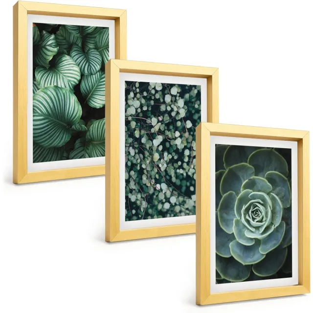 TULUP 4-Delige Schilderij Set - Groene bladplanten en stijlvolle vetplanten - 20 x 30 cm - Decoratieve Schilderijen - Woonkamer - Interieur Gouden lijst