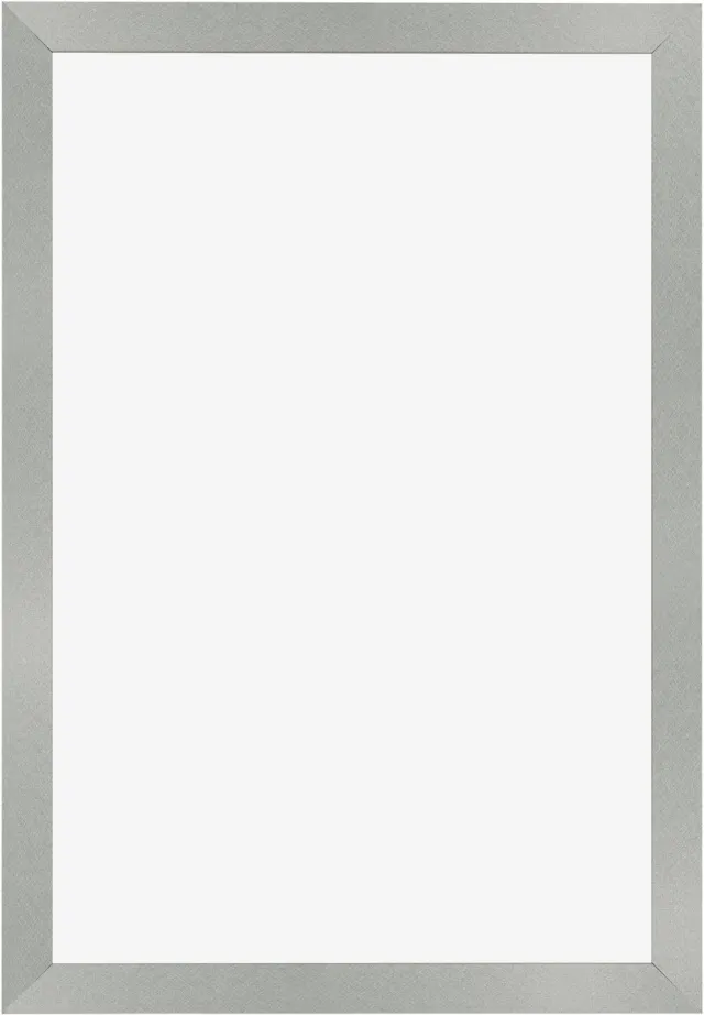 Dutch Frame Factory Fotolijst 50x75 cm - MDF - Aluminium Geborsteld - Benno