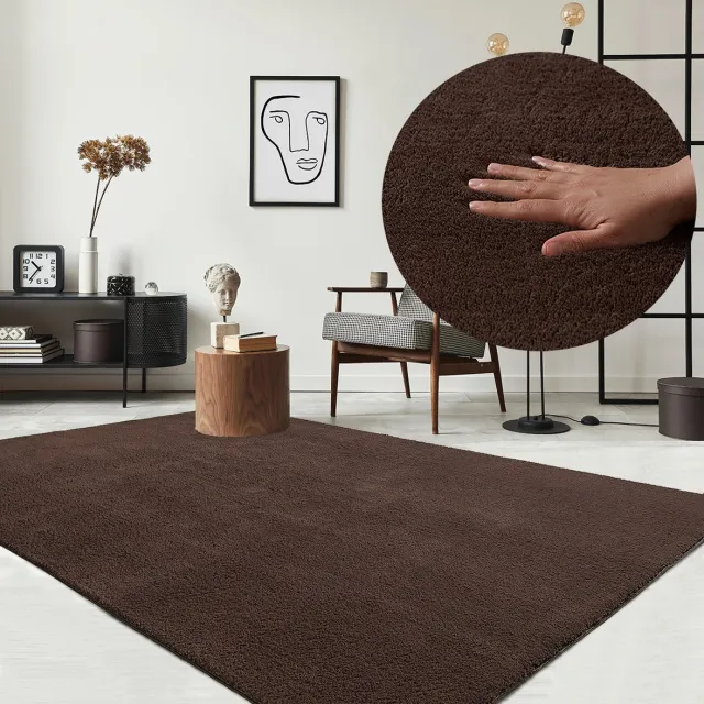 the carpet RELAX – Extra Zacht & Wasbaar Vloerkleed tot 30°C met Antislip Onderzijde – Fluweelachtige Structuur – Voor Slaapkamer of Woonkamer – Bruin, 240 x 340 cm