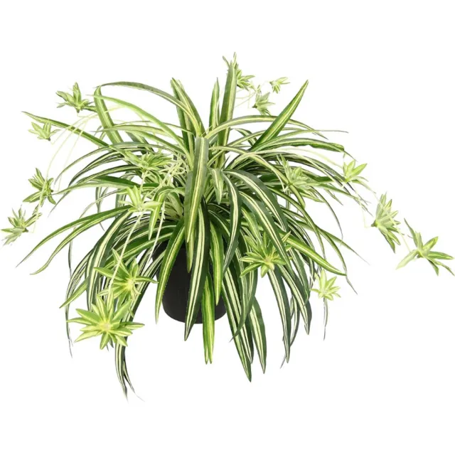 BOG Kunstmatige Groene Lelie In Pot - Realistische Spinnenplant Hangplant - Nep Chlorophytum Voor Binnendecoratie - Onderhoudsvrije Kunstplant In Pot Voor Woonkamer Kantoor Of Badkamer