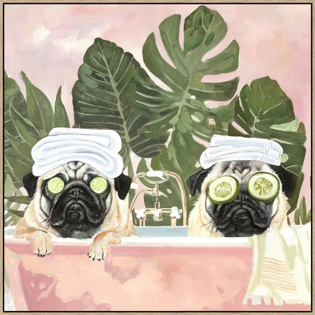 homebound by ky Schilderij met frame pugs in bad Meerkleurig
