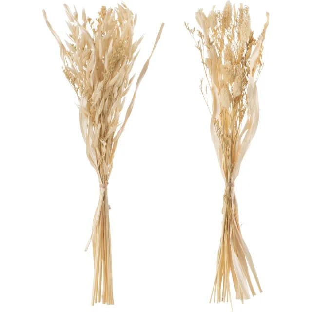 J-Line droogbloemen - Bundel gedroogde Avana gras - naturel - 2 stuks