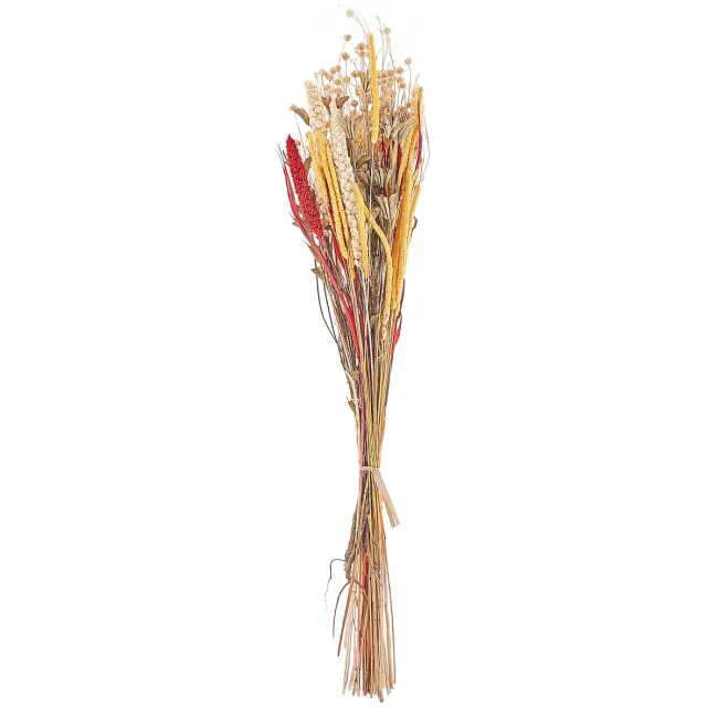 Beliani PAMPELUNA - Droogbloemen boeket - Natuurlijk - Droogbloemen