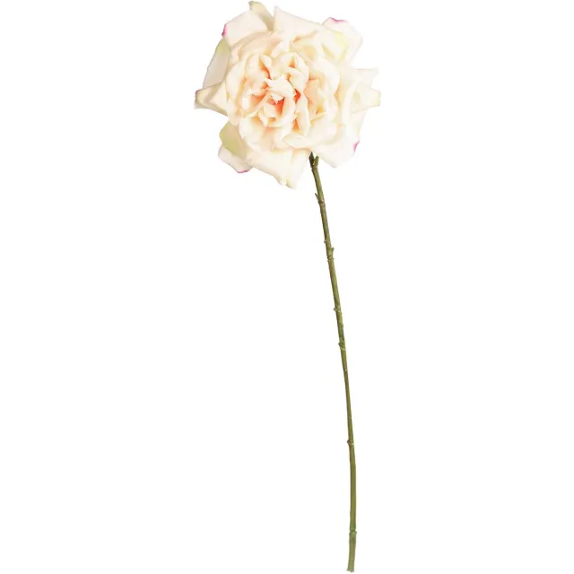 PTMD COLLECTION PTMD Open Roos Kunstbloem - 16 x 16 x 66 - Crème