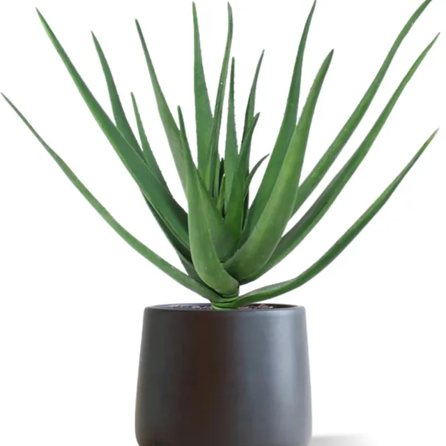 maxifleur Kunstplanten Aloë deluxe kunstplant 60cm Groen