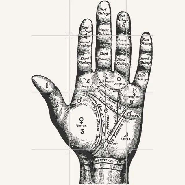 IXXI Palmistry, Aster Edition - 60 x 80 cm - Grote wanddecoratie en posters - Technische Tekening, Houtsnede, Illustraties, Vintage, Woonkamer, Handen Zwart en wit / Zwart / Monochroom