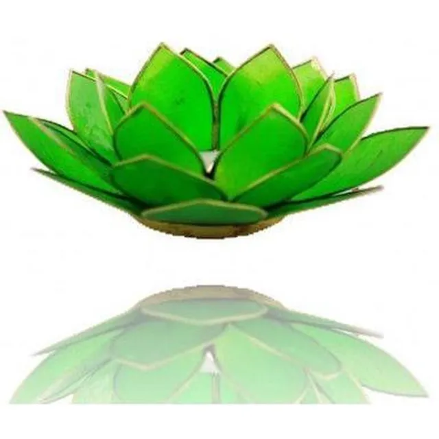 Yogi & Yogini Meditation Lotus sfeerlicht groen 4e chakra goudrand (1 stuks)