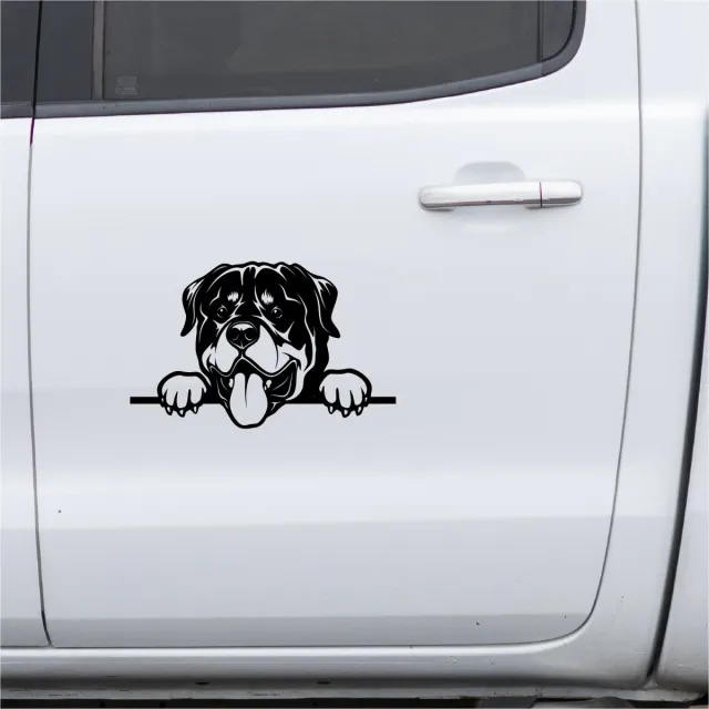 Alleenmaarstickers.com 6 Raamstickers / autostickers Rottweiler - transparante zelfklevende sticker - 1 x 35cm, 1 x 25cm en 4 x 15cm, uitgesneden sticker - honden sticker - zwarte opdruk
