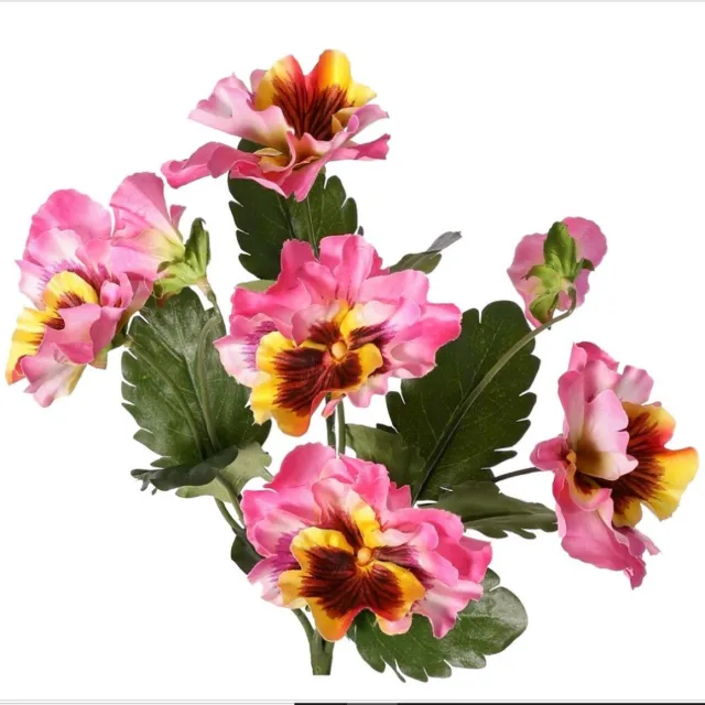 TopArt Vioolplantje (Viola) 5x vertakt met 5 bloemen, 2 bloemknoppen & 11 bladeren, 27 cm roze