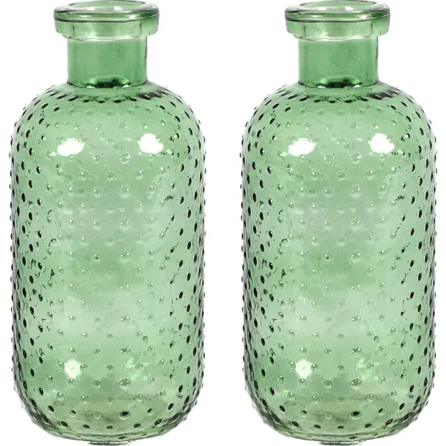 Countryfield Bloemenvaas Cactus Dots - 2x - groen transparant - glas - D11 x H24 cm