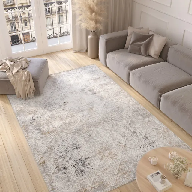 Tapiso Valley Vloerkleed Grijs Licht Woonkamer Vintage Tapijt Maat- 200x300 Beige Grijs5