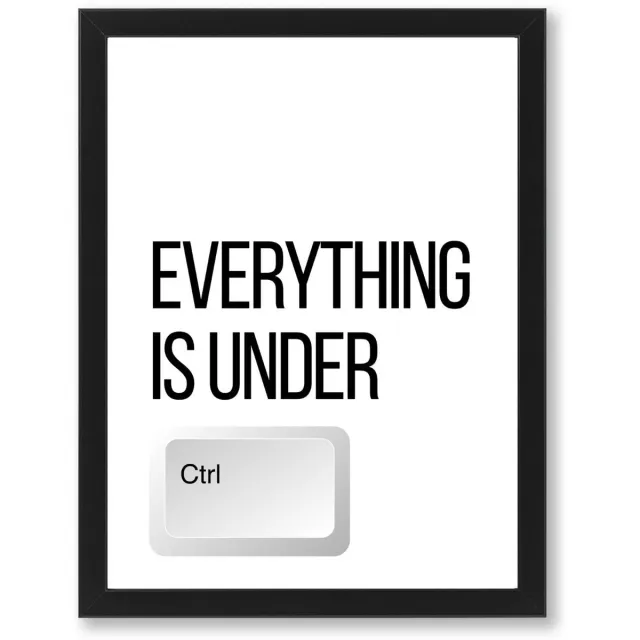 PRNTS Poster - Everything is under control - Poster met quote - Zwarte lijst - Wanddecoratie - 30x40cm