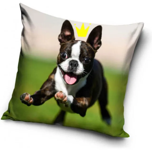 DOG Bostonterriër - sierkussensloop - 40 x 40 cm meer kleuren