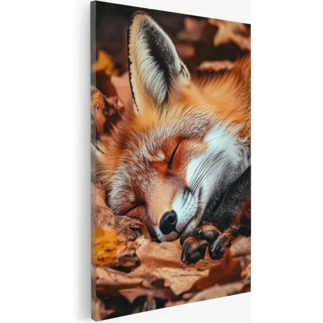 Saammp Canvas Schilderij - Slapende Vos - Dieren - Natuur - 40x50 - Foto op canvas - Wanddecoratie - Muurdecoratie Woonkamer - Slaapkamer decoratie - Canvas Print Multicolor