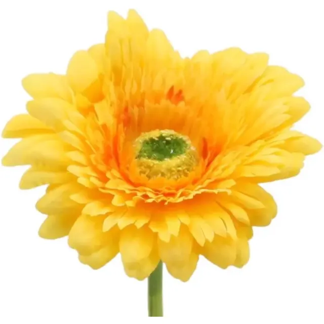 Wonders at Home Official Gerbera - 62 cm - Geel - Kunstbloem - Zijde Bloem - Steelbloem