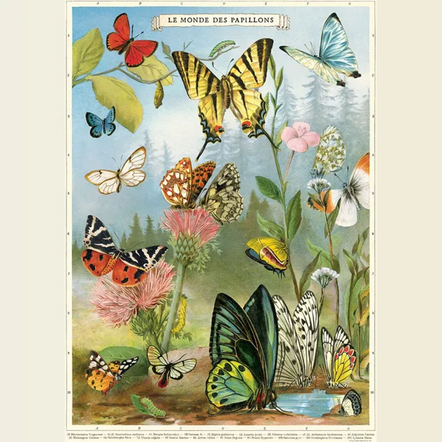 Cavallini & Co Poster Vlinders 4 - Cavallini & Co - Butterlfy Posters - Schoolplaat Vlinder Multi Color Vlinders