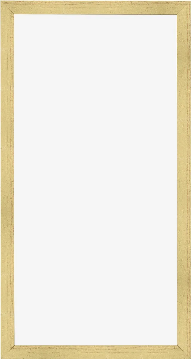 Dutch Frame Factory Fotolijst 40x80 cm - MDF - Goud Glans - Benno