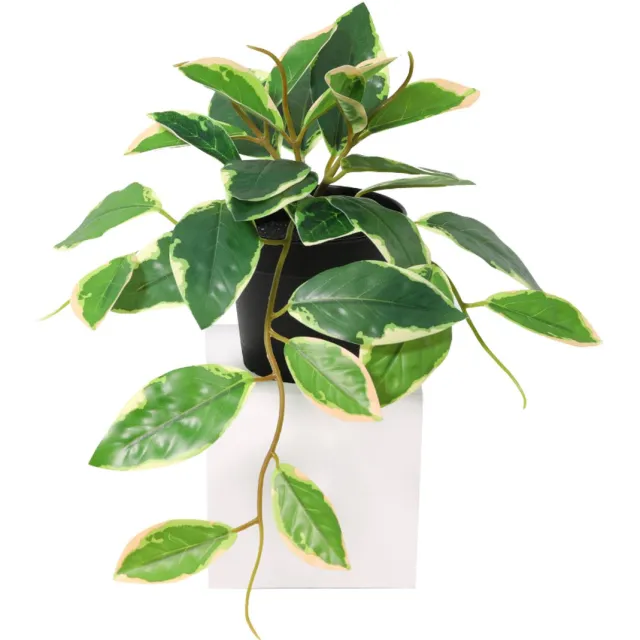 Trendyplants Kunst Hoya Variegata - Wasbloem - Kunstplant - Hoogte 25cm - Potmaat Ø9cm groen